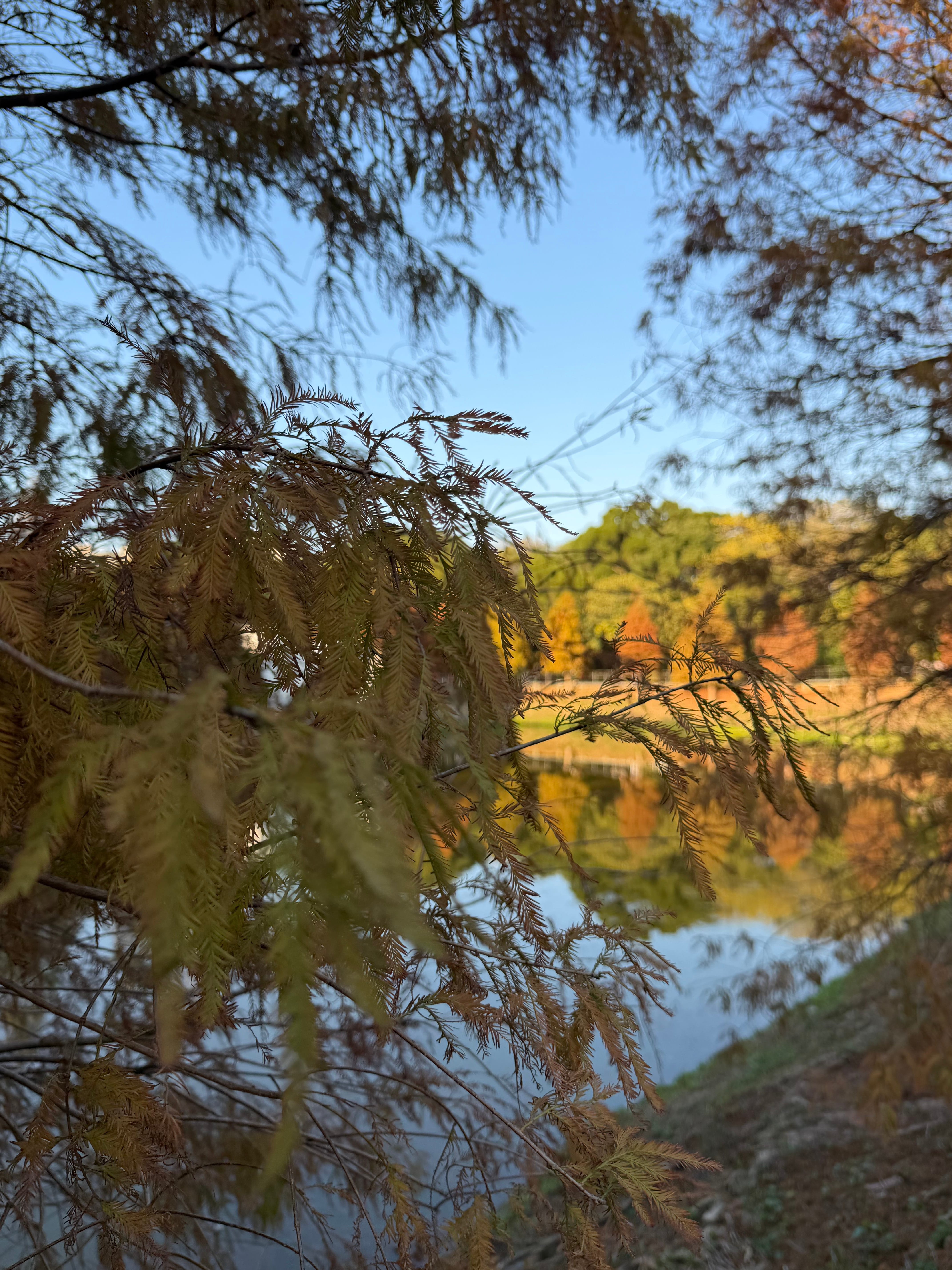 資訊工程學系 (資安組) 特殊選材面試題目統整